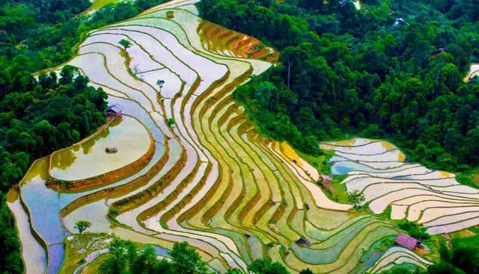 Mu Cang Chai